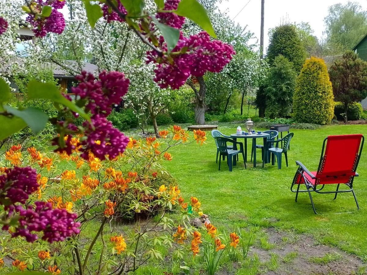 House, Garden & Sauna. Free Parking. Train Stop-200 M. Sea-1 Km. Jūrkalne 外观 照片