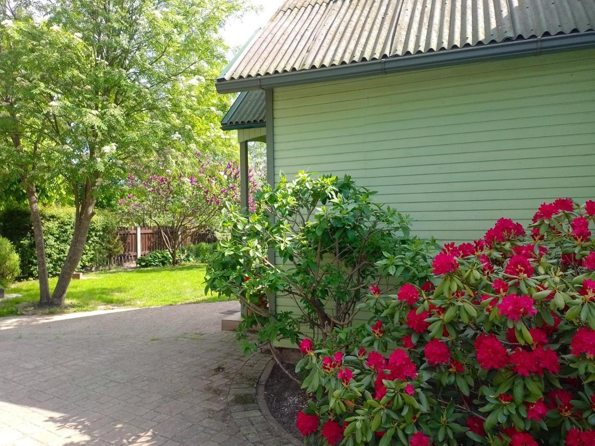 House, Garden & Sauna. Free Parking. Train Stop-200 M. Sea-1 Km. Jūrkalne 外观 照片
