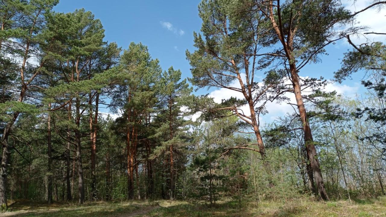 House, Garden & Sauna. Free Parking. Train Stop-200 M. Sea-1 Km. Jūrkalne 外观 照片